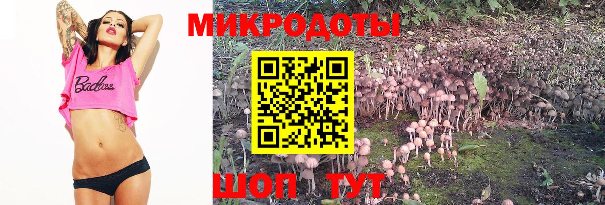 Галлюциногенные грибы Psilocybe  Вход с VPN  Псилоцибиновые грибы прущие грибы  Ликино-Дулёво 
